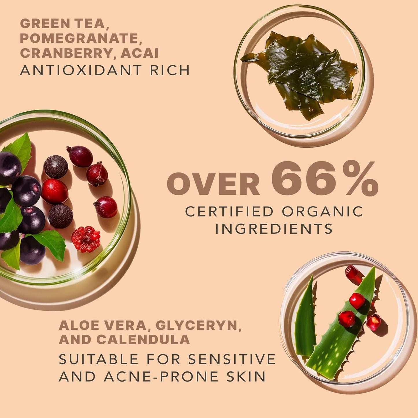 Clean Face Wash - USA Made with Organic & Natural Ingredients, Non-Toxic Facial Cleanser