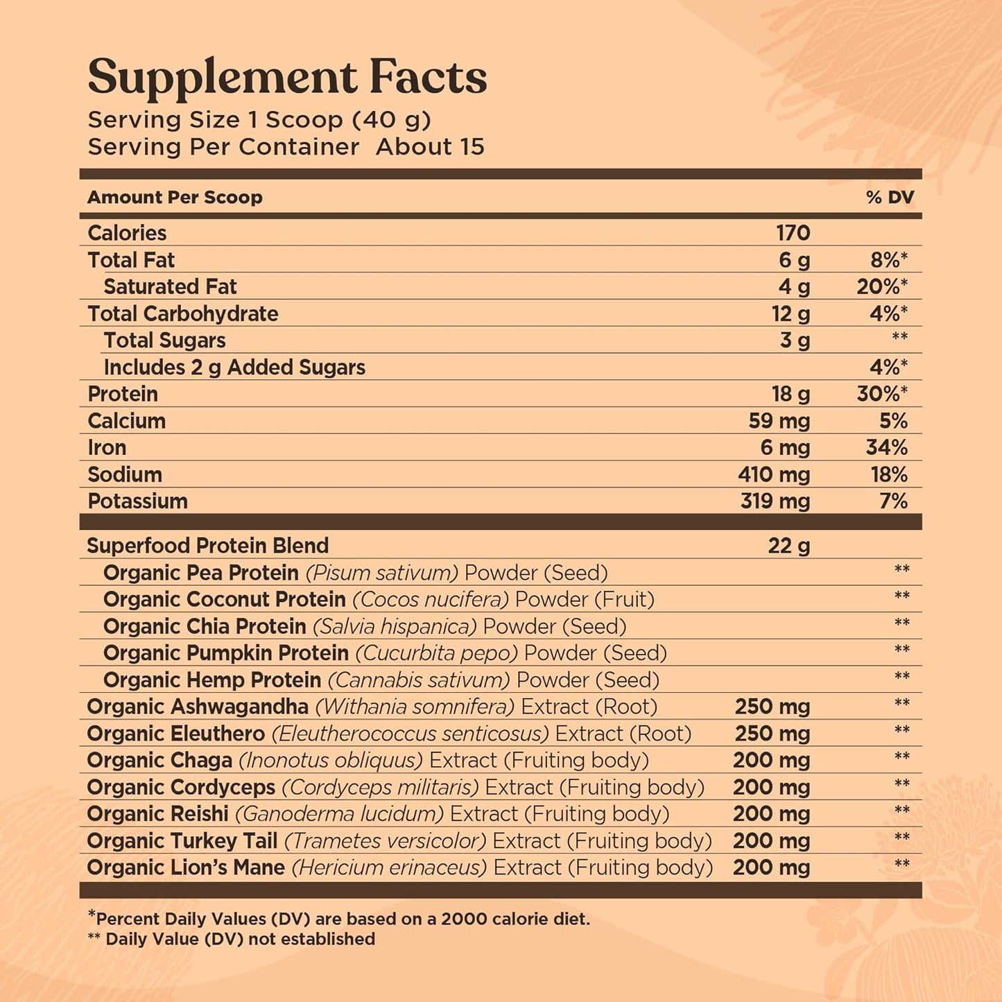 Organic Plant-Based Protein Powder Creamy Cacao Protein with Lion’S Mane, Chaga, Cordyceps and More | Clean Vegan Protein Elevated for Brain Function and Immune Support | 21.16 Oz