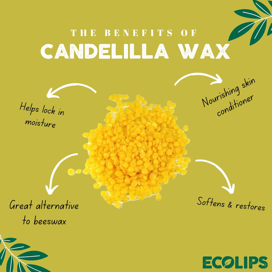 Bee Free Variety Pack Vegan Lip Balm | Candelilla Wax, Cocoa Butter & Coconut Oil Lip Care. Soothe & Moisturize Dry, Chapped Lips - 100% Plastic-Free Plant Pod Packaging - Made in USA