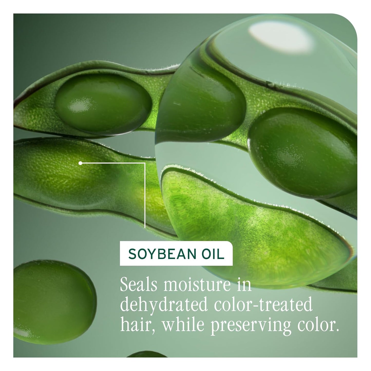 Biolage Color Last Shampoo - for Color-Treated Hair, Nourishes, Hydrates and Preserves Colors, Soybean Oil & Stearic Acid, Paraben & Mineral Oil-Free, Vegan