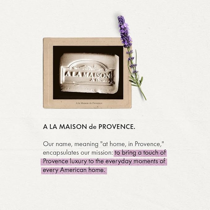 A La Maison Soap Liq Fresh Sea Salt, 16.9 fl oz