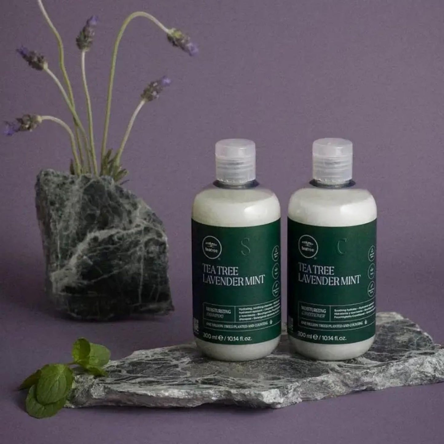Tea Tree Lavender Mint Moisturizing Shampoo, Hydrates + Soothes, for Coarse + Dry Hair