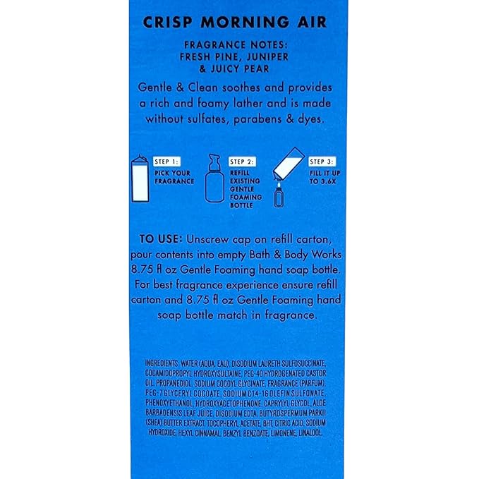 Bath & Body Works Crisp Morning Air Refill Gentle & Clean Foaming Hand Soap, 32 fl. oz. (Crisp Morning Air)
