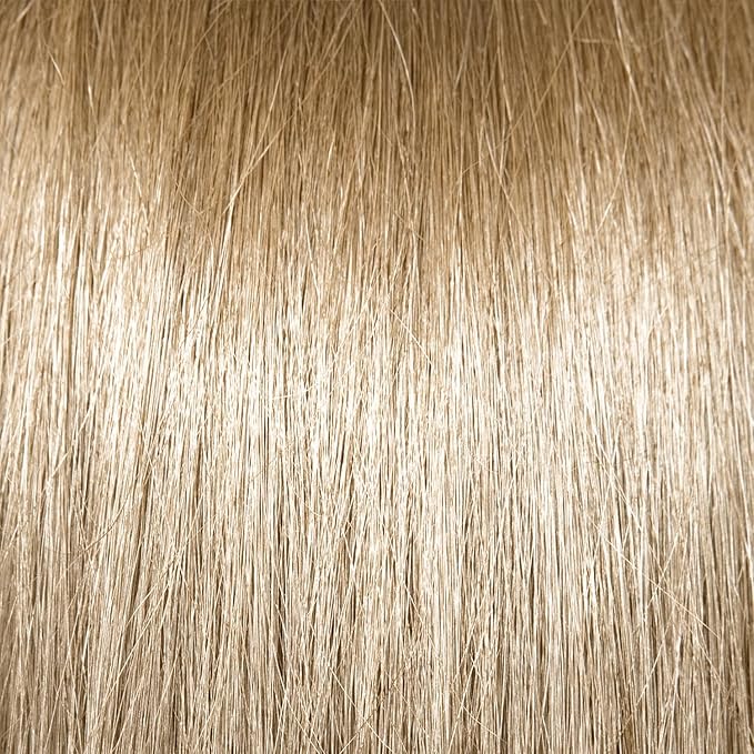 Ion Permanent Creme Hair Color 10V Lightest Cool Blonde, Vegan, Cruelty Free, PPD Free, 100% Gray Coverage, Long Lasting, Fade Resistant Color, 2.05 oz