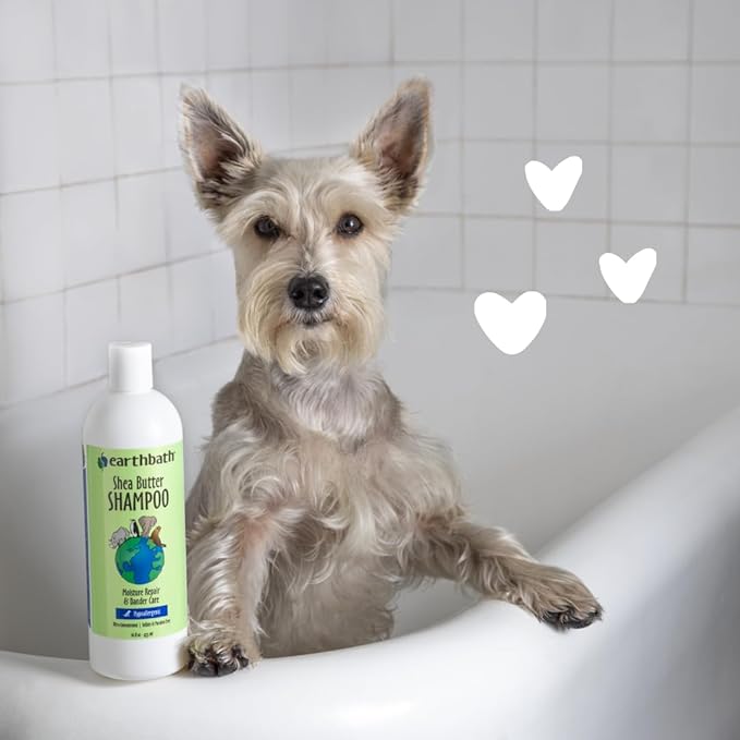 earthbath, Shea Butter Shampoo - Dog Shampoo, Plant-Based, Cruelty-Free, Vegan, Gluten-Free, Non-GMO, Made in USA, Moisutre Repair & Dander Care - 16 Oz (1 Pack)