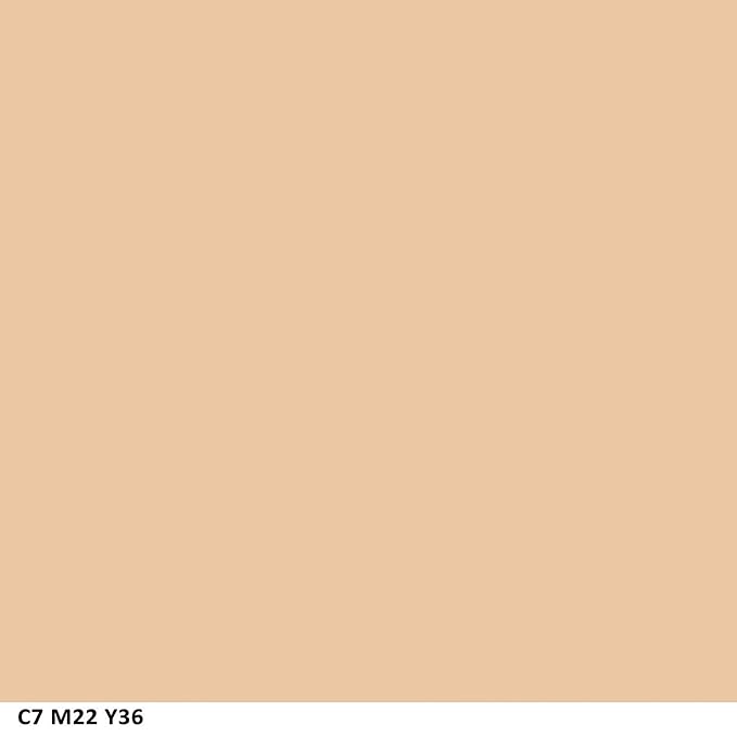 COVERGIRL Clean Matte Concealer, Fair 110, 0.37 Fl Oz, 2 Count