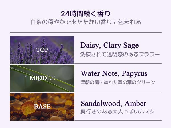 Sage Amber Purple Tea Perfumed Body Wash, Hydrating Body Cleanser for Sensitive Skin | Gentle, Moisturizing, Non-Sticky, Floral Woody Scent | Korean Skin Care