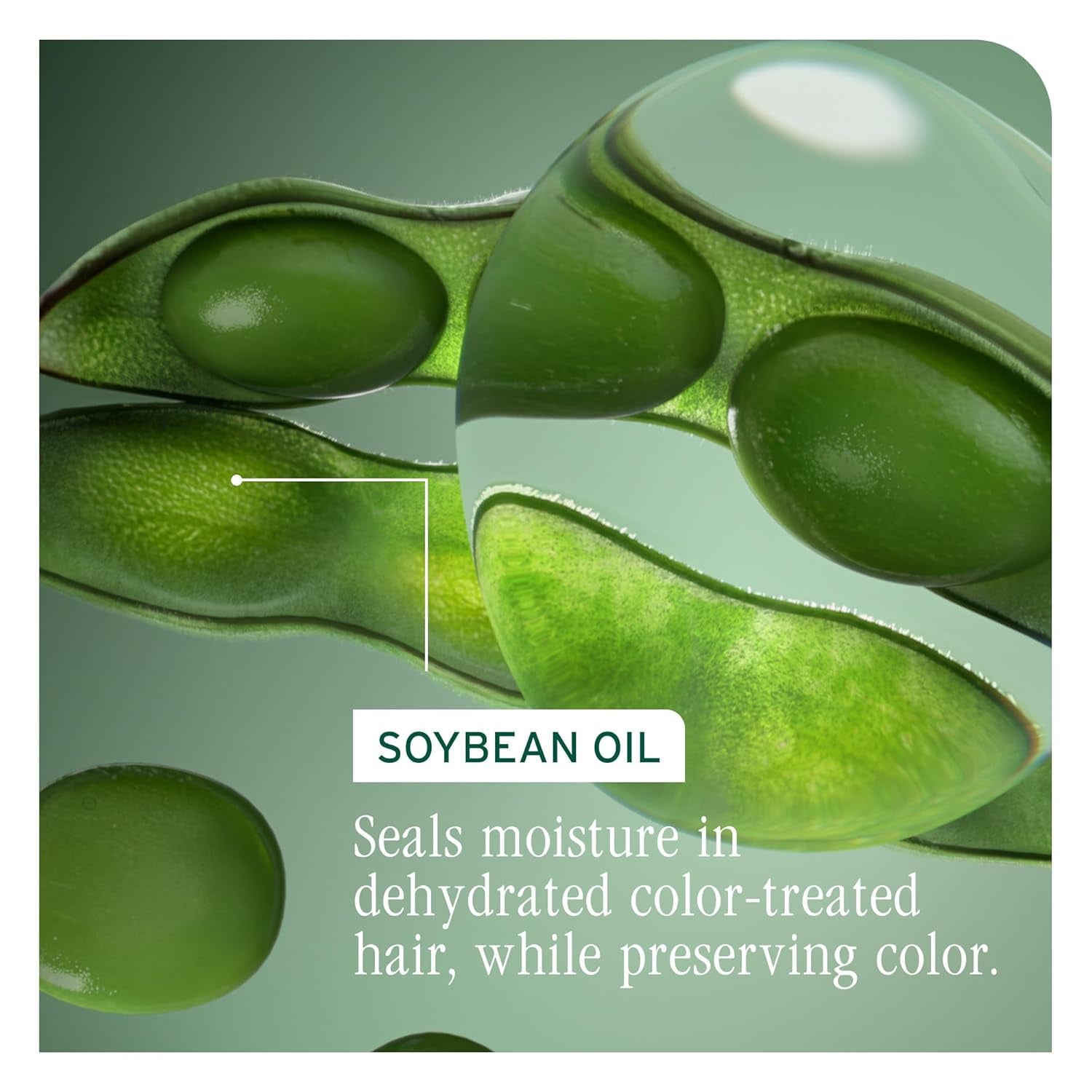 Biolage Color Last Shampoo - for Color-Treated Hair, Nourishes, Hydrates and Preserves Colors, Soybean Oil & Stearic Acid, Paraben & Mineral Oil-Free, Vegan