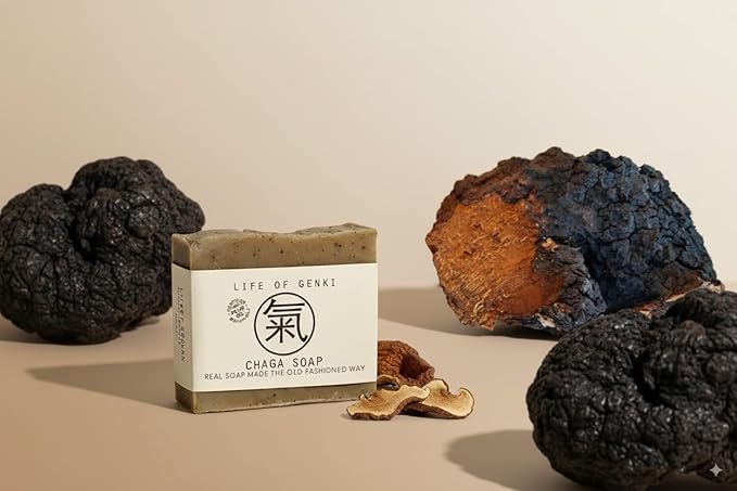 Vegan CHAGA Mushroom Soap Bar – Pack of 3 – Long Lasting, Mild & All Natural – Organic Oils, Sensitive Dry Skin, Made in USA
