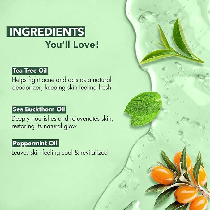 Botanic Hearth Tea Tree Body Wash 16 fl oz (2 Pack) Natural Antifungal & Odor Control Shower Gel for Acne, Athlete’s Foot, Ringworm, Jock Itch, Healthy Skin, Sulfate & Paraben Free, for Men & Women