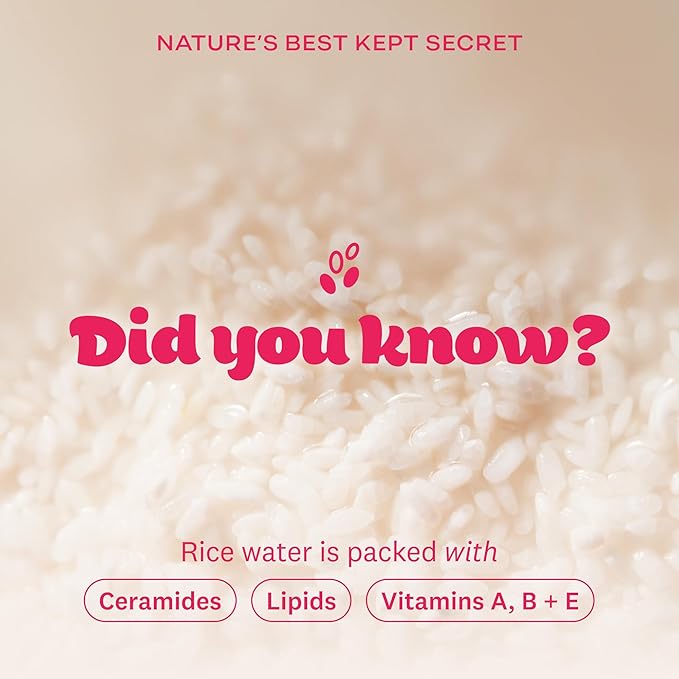 The Face Shop Rice Water Bright Vegan Cream - Instant Moisturization Quick-Absorbing Formula - Vegan, Brightening - Rice Water, Niacinamide, Hyaluronic Acid - Moisturizer Face Cream - Korean Skin Care