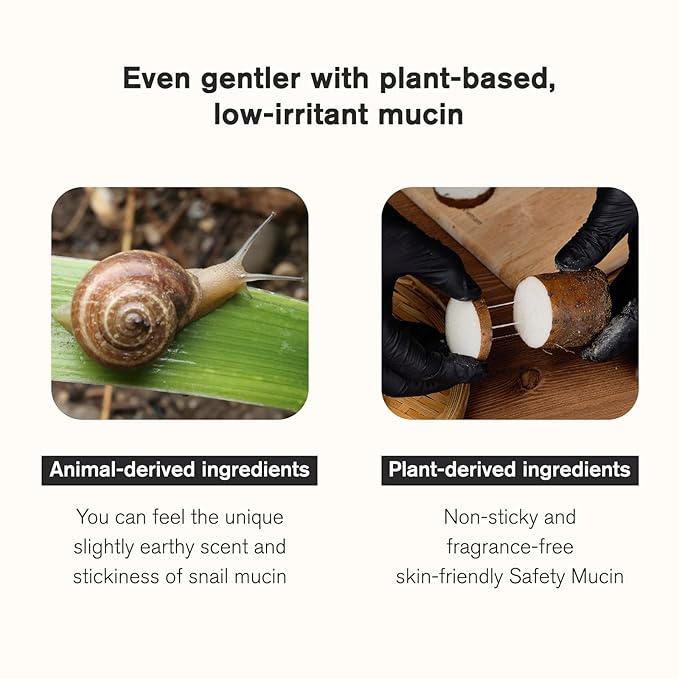 Urbanand Vegan S.Nailed it yam Essence, Vegan Korean Facial Serum with Vegan Snail Mucin, for Sensitive and Delicate Skin (50ml / 1.69 fl. oz.), Korean Skin Care