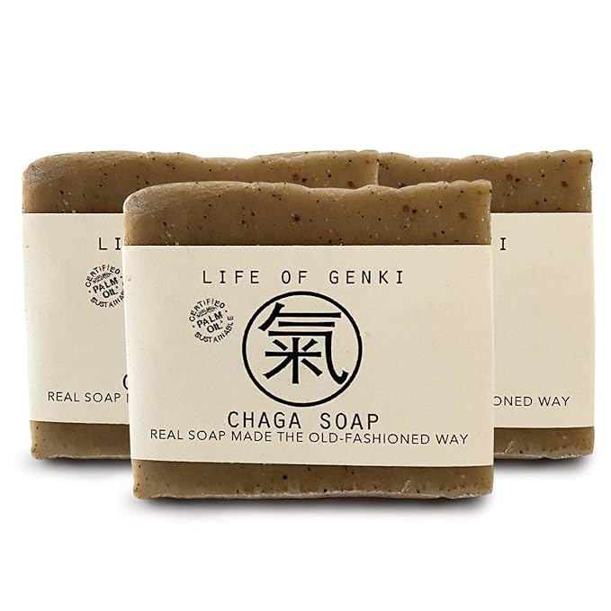 Vegan CHAGA Mushroom Soap Bar – Pack of 3 – Long Lasting, Mild & All Natural – Organic Oils, Sensitive Dry Skin, Made in USA