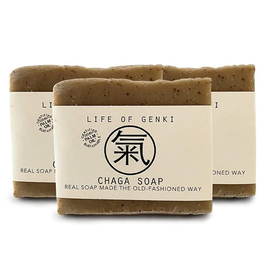 Vegan CHAGA Mushroom Soap Bar – Pack of 3 – Long Lasting, Mild & All Natural – Organic Oils, Sensitive Dry Skin, Made in USA