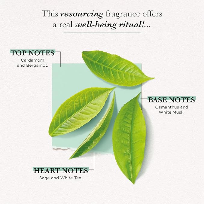 Solinotes White Tea Body Mist – Alcohol-Free, Long-Lasting Fragrance Spray with Bergamot,Cardamom, Sage, Osmanthus, & White Musk – Clean, Cruelty-Free Hair & Body Perfume Spray for Women (8.45 Fl Oz)
