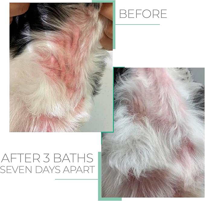 Hypoallergenic Professional Shampoo for Sensitive Skin for Pets - Fur Cleanse & Nourishment, All Ages Pet Grooming Products, Horse, Cat Dog Bath Supplies - VEGAN, Paraben-Free - 33.8fl oz - PUREZA PET