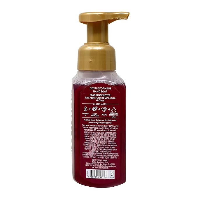 Bath & Body Works 'Tis The Season 2 Pack Gentle Foaming Hand Soap Bundle with a Natural Oats Sample Soap