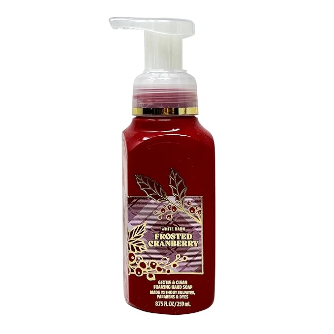Bath & Body Works Frosted Cranberry 4 Pack Gentle Foaming Hand Soap Bundle with a Natural Oats Sample Soap