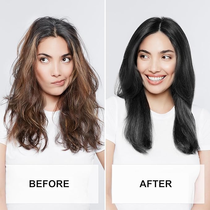 Permanent Hair Color, Permanent Black Hair Dye （17.6 Ounce） 100% Grey Coverage, Ammonia Free, Vegan, Cruelty Free | Biotin for Thicker, Fuller Hair (Black, 500ML)