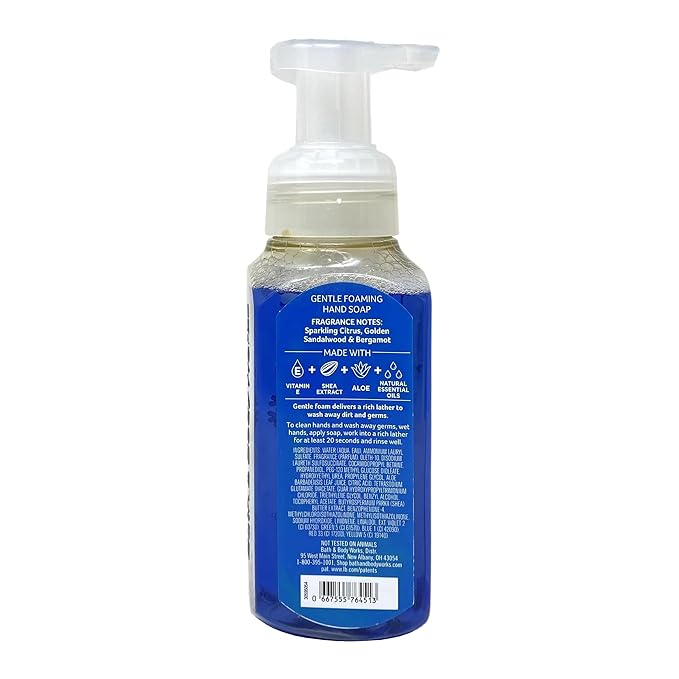 Bath & Body Works Just Chillin' Sparkling Icicles 2 Pack Gentle Foaming Hand Soap Bundle with a Natural Oats Sample Soap