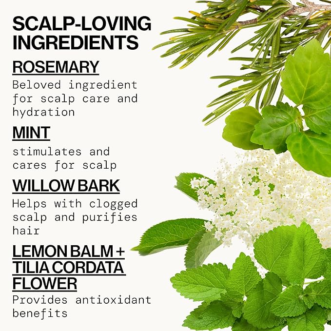 Rosemary Mint Scalp Care Shampoo & Conditioner Set – Clean Vegan Shampoo & Conditioner for Oily Or Flaky Scalp (All Hair Types), A Balanced, Soothed Scalp, No Silicones or Parabens