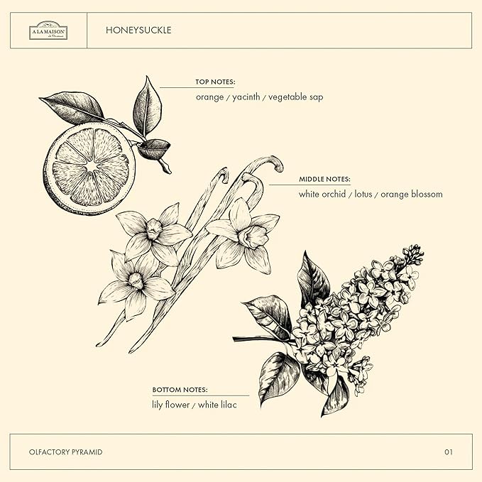 A LA MAISON Honeysuckle French Liquid Hand Soap - Natural Hand Wash Made with Essential Oils - Biodegradable, Plant-Based, Vegan, Cruelty-Free, Alcohol & Paraben Free (16.9 oz, 3 Pack)