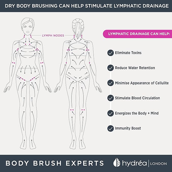 Hydrea London Dry Body Brush Long Handled Exfoliating Skin Brush with Vegan Cactus Bristle, Dry Brush Cellulite Remover, Exfoliating Body Scrubber, Improve Lymphatic Drainage FSC® Certified Beechwood.