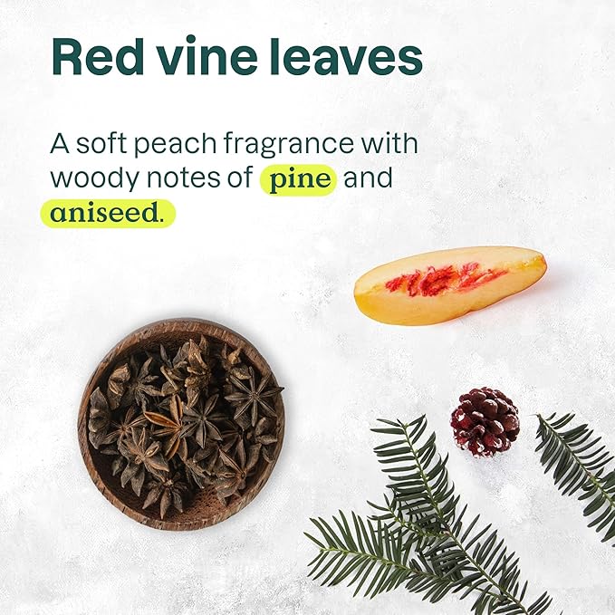ATTITUDE Body Wash, EWG Verified Shower Gel, Dermatologically Tested, Plant and Mineral-Based, Vegan Personal Care Products, Red Vine Leaves, 16 Fl Oz