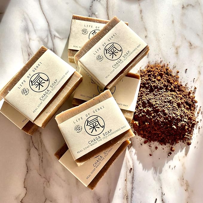 Vegan CHAGA Mushroom Soap Bar – Pack of 3 – Long Lasting, Mild & All Natural – Organic Oils, Sensitive Dry Skin, Made in USA
