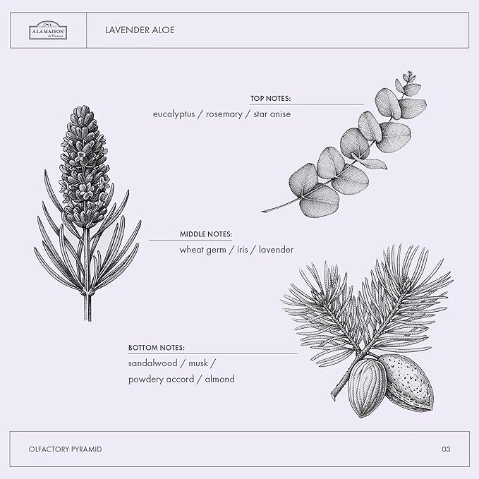 A LA MAISON Lavender Aloe French Liquid Hand Soap - Natural Hand Wash Made with Essential Oils - Biodegradable, Plant-Based, Vegan, Cruelty-Free, Alcohol & Paraben Free (16.9 oz, 3 Pack)
