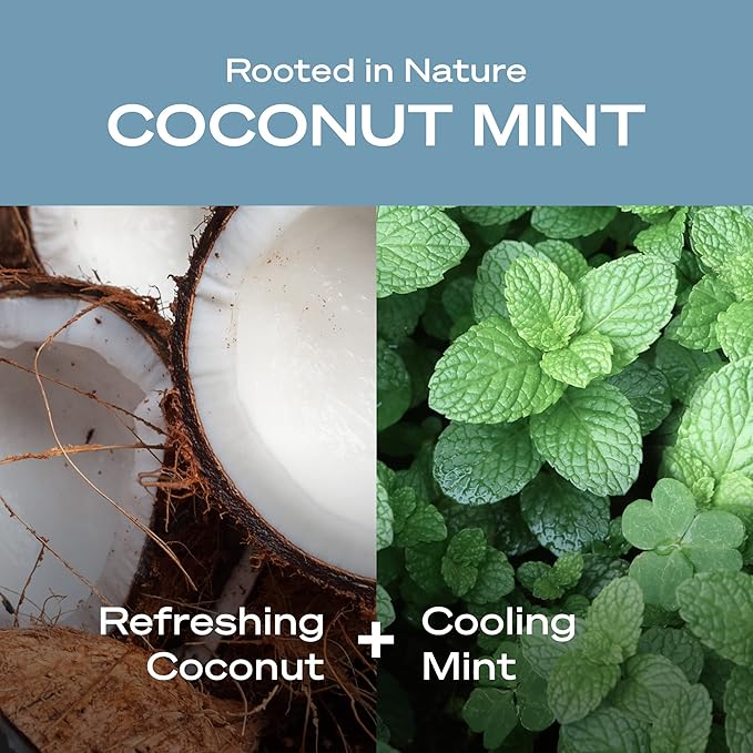 Hey Humans Coconut Mint Moisturizing Body Wash with Natural Ingredients & Jojoba Oil | Clean, Vegan, Sulfate Free Bath & Body Wash for Women & Men | Recyclable Bottle, 14 fl. oz. - Pack of 3
