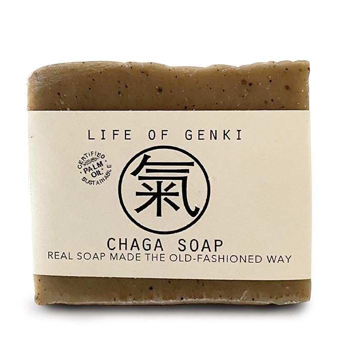 Vegan CHAGA Mushroom Soap Bar – Pack of 3 – Long Lasting, Mild & All Natural – Organic Oils, Sensitive Dry Skin, Made in USA