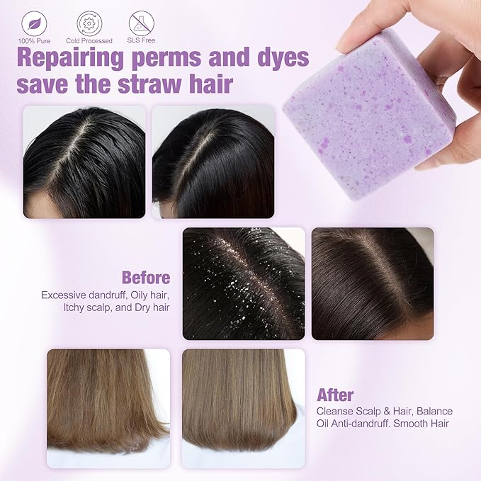 Leafinty Shampoo and Conditioner Set | Bar Shampoo and Conditioner for Blonde Brown and Gray Hair| Vegan & Natural | Shampoo Bar | Shampoo and Conditioner 6.7oz (Sundazed Scent)