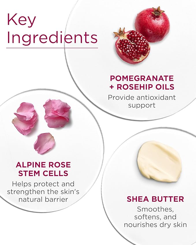 Andalou Naturals 1000 Roses Soothing Body Lotion - Improve Skin Moisture with Shea Butter & Aloe Vera - Hydrating Lotion for Dry or Sensitive Skin - 8 fl oz,(Pack of 2)