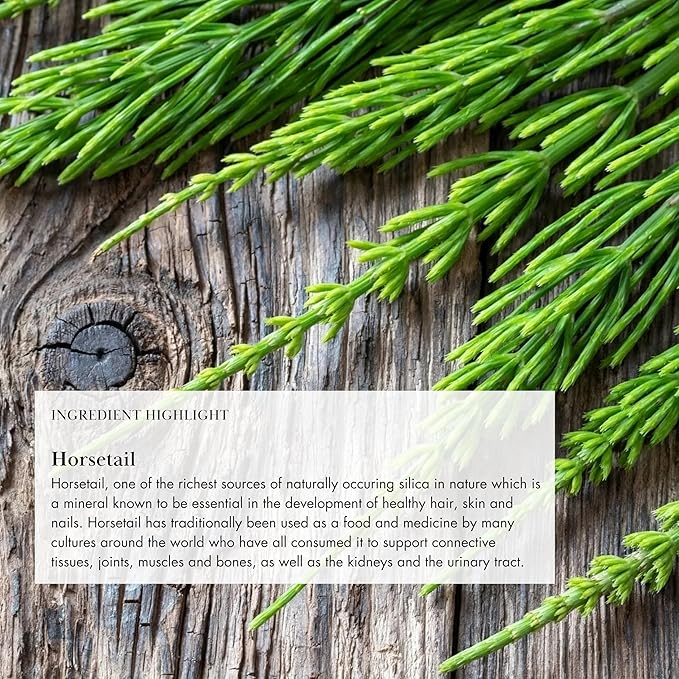 Anima Mundi Apothecary Vegan Collagen Powder - Plant-Based & Organic Collagen Booster - Helps Support Collagen & Keratin Production for Healthy Skin, Hair & Bones (4oz/113g)