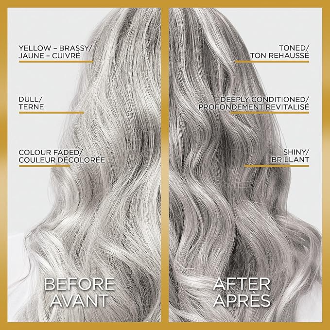 L'Oreal Paris Le Color Gloss One Step In-Shower Toning Hair Gloss, Neutralizes Brass, Conditions & Boosts Shine, Silver, 4 Ounce (Pack of 2)