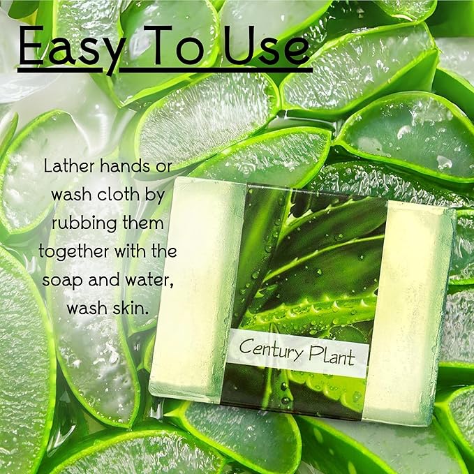 Glycerin Bar Soap Century Plant Scent - Natural, Vegan-Friendly, Hypoallergenic - Moisturizing and Hydrating with 100% Vegetable Glycerin - Sulfate-Free, Paraben-Free, Chemical-Free - 4.5 oz