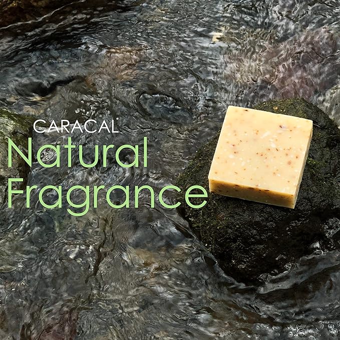 CARACAL Clarysweet Vegan Herbal Natural Soap Bar for Men Women (3-Pack) Strong Woodsy Bay Laurel, Clary Sage, Nettle, Olive, Castor Oils & Shea Butter